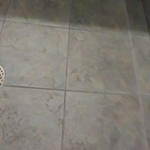 Meet your Posher, Dee